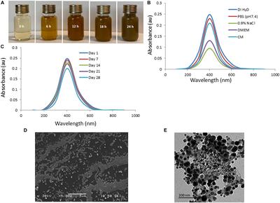 Synthesis, Characterization, Antibacterial and Wound Healing Efficacy of Silver Nanoparticles From <mark class="highlighted">Azadirachta</mark> indica
